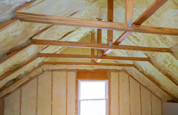 Best Professional Insulation Contractor  in North Palm Beach, FL