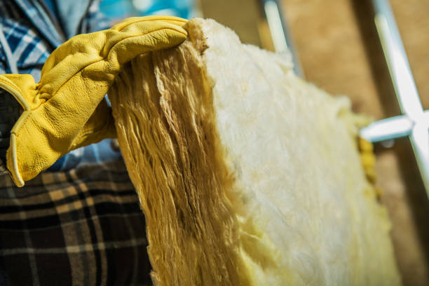 Best Blown-in Insulation  in North Palm Beach, FL