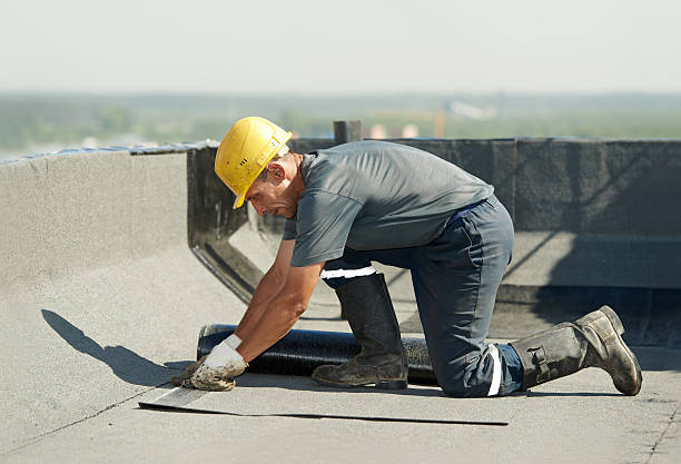 Best Insulation Repair Services  in North Palm Beach, FL