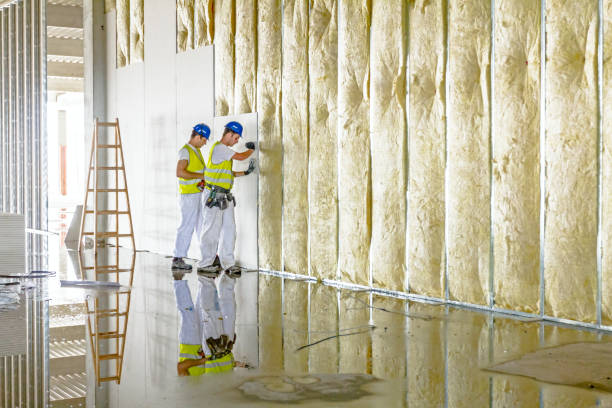Best Insulation Inspection Services  in North Palm Beach, FL
